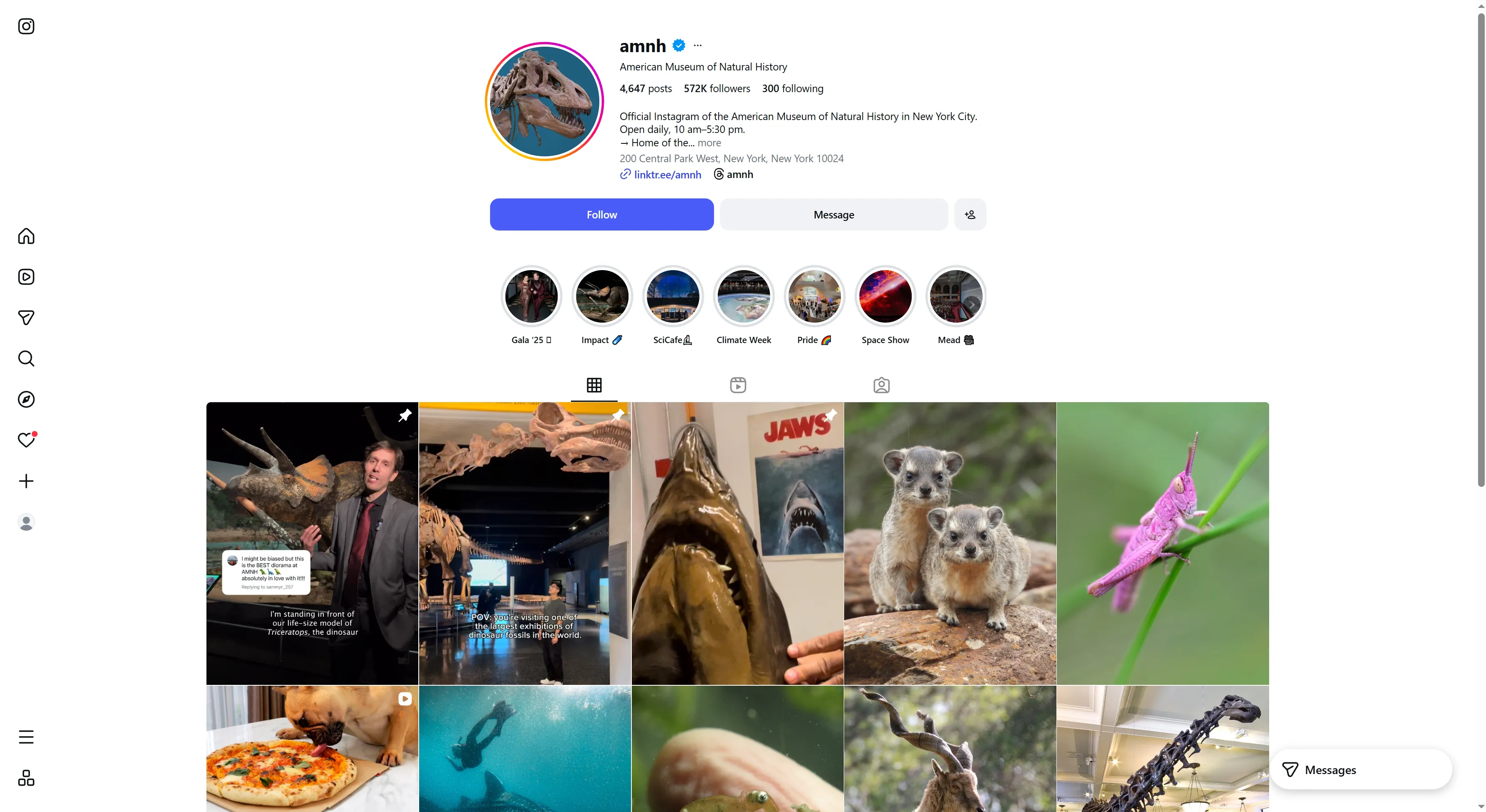 American Museum of Natural History Instagram Profile